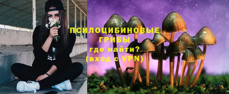 Псилоцибиновые грибы Psilocybe  как найти закладки  Сим 